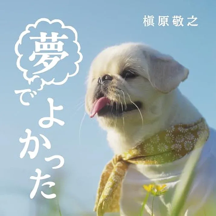 夢でよかった
